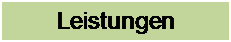 Textfeld: Leistungen