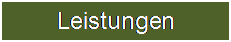 Textfeld: Leistungen